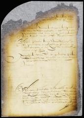 Judgment against Peter Adriaensen