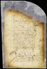 Petition of Johannes Pietersen van Brugge requesting to be credited for money advanced by him to the city of New Amsterdam