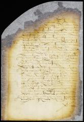 Complaint of the fiscal against Elbert Elbertsen and others refusing to pay the tenths
