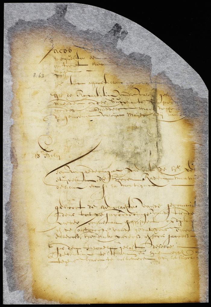 Order on a petition of Jacob Steendam for a piece of meadow at Aernhem