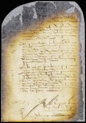 Complaint of the fiscal against Peter de Graeff