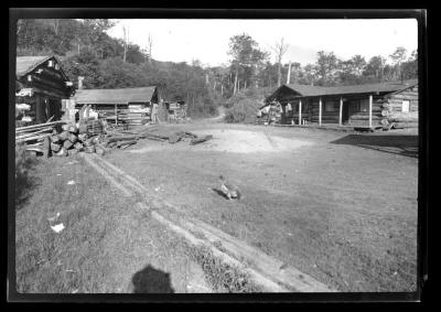 Lumber camp, Santa Clara Lumber Co. on Mt. Seward