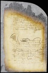 Report of Johannes la Montagne and Thomas Willett