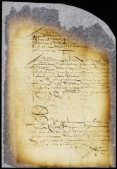 Judgment for defendant in the case of the town of Gravesend vs. Anthony Jansen