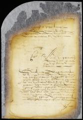 Petition of Walewyn van der Veen for director and council to enforce a certain order of the city court