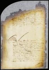 Judgment against Adriaen Jansen Appel