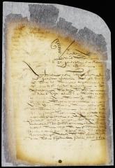 Petition of Juan Gallardo Ferrara for the restoration of his slaves