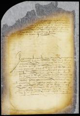 Petition of Magteld Megapolensis for a writ of appeal from a judgment pronounced by the court of Fort Orange in favor of Jacob d'Hinse