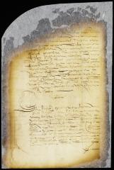 Commission of Johannes la Montagne and Thomas Willett to inquire into some differences between the inhabitants of Middelburgh, L. I.