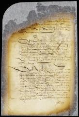 Petition of Jan Snedeker for compensation for the loss of certain lots of land