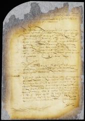 Case in appeal of Megapolensis vs. surgeon d'Hinse