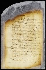 Petition of Armgard Prints for a grant of certain lands at Printsdorp and Tinnakunck