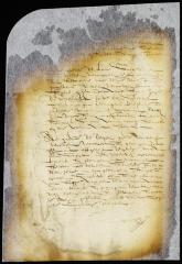 Answer of director and council to the petition of the burgomasters