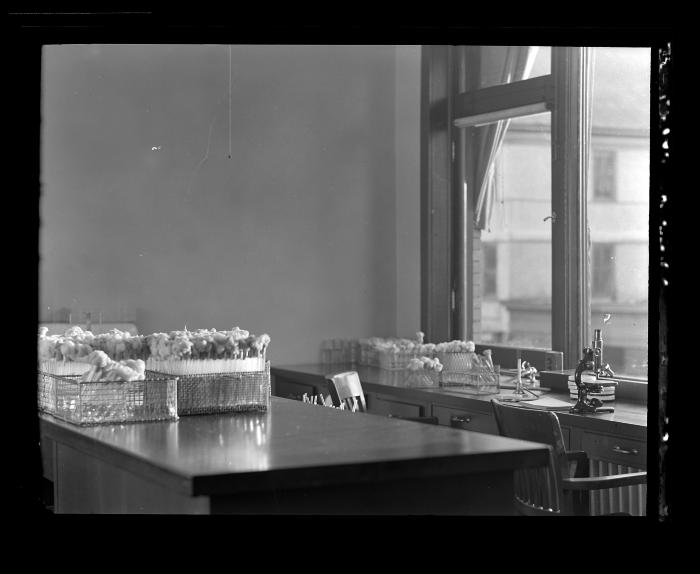 Workstation at the experimental shellfish hatchery in Bayville Bridge, N.Y.