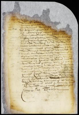 Answer of Cornelis van Tienhoven to the order of the 26th September last