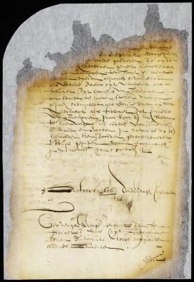 Examination of Andries Laurensen