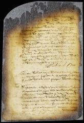 Confirmation of the appointment of Mattheus de Vos by the director and council