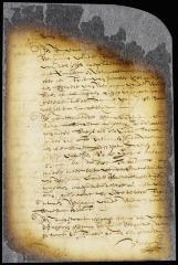 Judgment in the case of Walewyn van der Veen vs. Peter Wolpherts van Couwenhoven