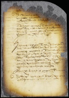 Order for a writ of appeal in favor of Walewyn van der Veen vs. Peter Wolpherts van Couwenhoven