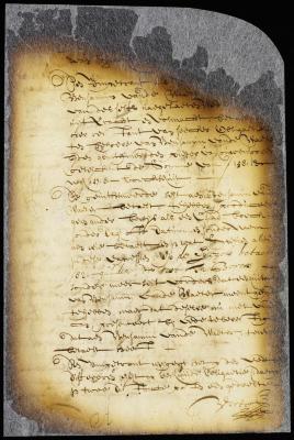 Judgment in the case of Walewyn van der Veen vs. Peter Wolpherts van Couwenhoven