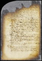 Ordinance of the city of New Amsterdam regulating the citizens excise