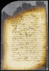 Petition of Michiel Tadens for pardon and leave to reside on Long Island