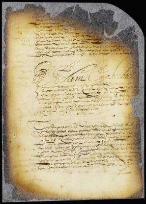 Order permitting Peter Laurens to carry his own goods to the South river