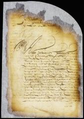 Appointment of William Bogardus to be comptroller of the windmill