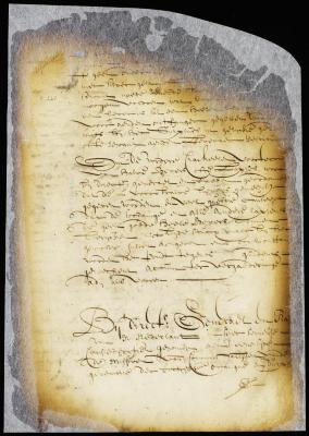 Resolution of the council declaring that it is necessary that the director-general should go to Fort Orange