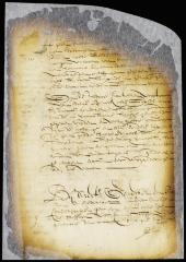 Resolution of the council declaring that it is necessary that the director-general should go to Fort Orange