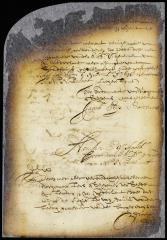 Petition of burgomasters and schepens praying the ratification of the ordinace regulating the citizens excise