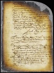 Ratification of the ordinance regulating the citizens excise by the director and council