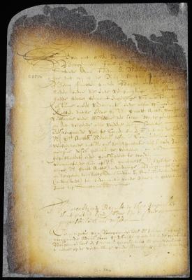 Ratification of the ordinance regulating the citizens excise by the director and council [Copy of 8:288]