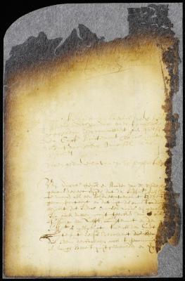 Pardon of Hendrick Sweers for accidentally wounding captain Nuton