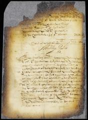 Account of Mathys Capito