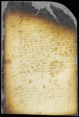 Order referring Peter Wolphertsen van Couwenhoven to the burgomasters and schepens of New Amsterdam [Copy of 8:293]