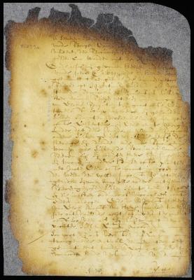 Memorial of the sheriff, burgomasters, etc. of New Amsterdam asking for explanation in regard to the citizens excise [Copy of 8:279]