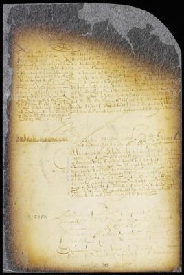 Confirmation of the appointment of Mattheus de Vos by the director and council