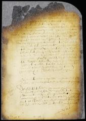 Petition of Walewyn van der Veen for director and council to enforce a certain order of the city court [Copy of 8:210]