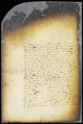 Letter from rev. Mr. Polheymus to the director-general [Copy of 8:296]