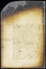 Letter from rev. Mr. Polheymus to the director-general [Copy of 8:296]