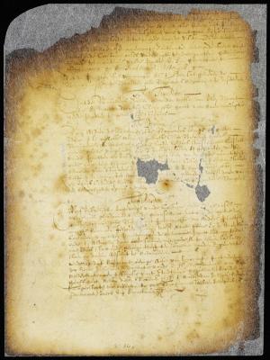 Petition of burgomasters and schepens praying the ratification of the ordinace regulating the citizens excise [Copy of 8:287]