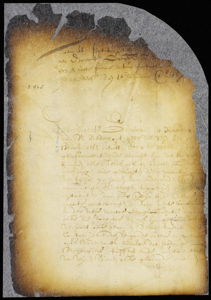 Grant of the petition of the heirs of Cornelis van Werckhoven to found a village on Long Island