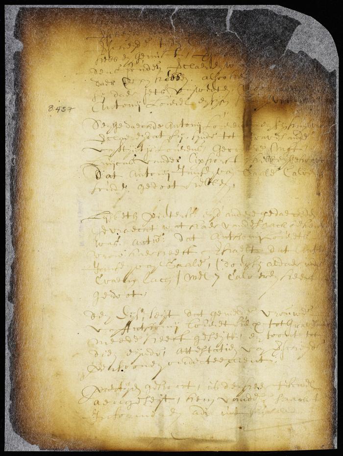Testimony of Anthony Lord, his wife and other inhabitants of Gravesend on calves claimed by Charles Morgan