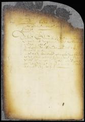 Appointment of grain and lime measurers for city of New Amsterdam