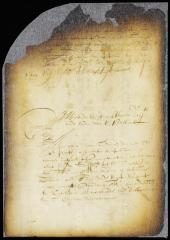 Petition of Jacques Corteljou, agent of the heirs of Cornelis van Werckhoven, for leave to found and erect a village on Long Island