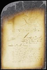 Petition of burgomasters and schepens of New Amsterdam on which the ordinance on citizenship was issued