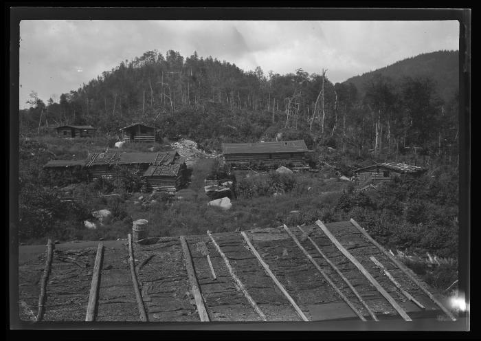 Lumber camp, Santa Clara Lumber Co. on Mt. Seward