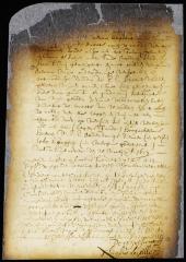 Certificate of director and council that they had granted a plantation on the South river to Jan Schagen