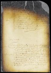 Opinions of merchants of New Amsterdam on the ordinace to prevent fraud in the inspection of tobacco